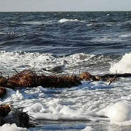 Holiday home House Pella Modern Retreat Born