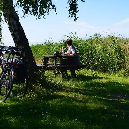 House Pella Modern Retreat Holiday home Born