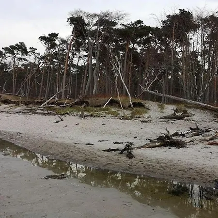 House Pella Modern Retreat *