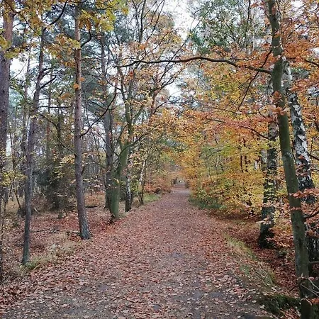 Holiday home House Pella Modern Retreat